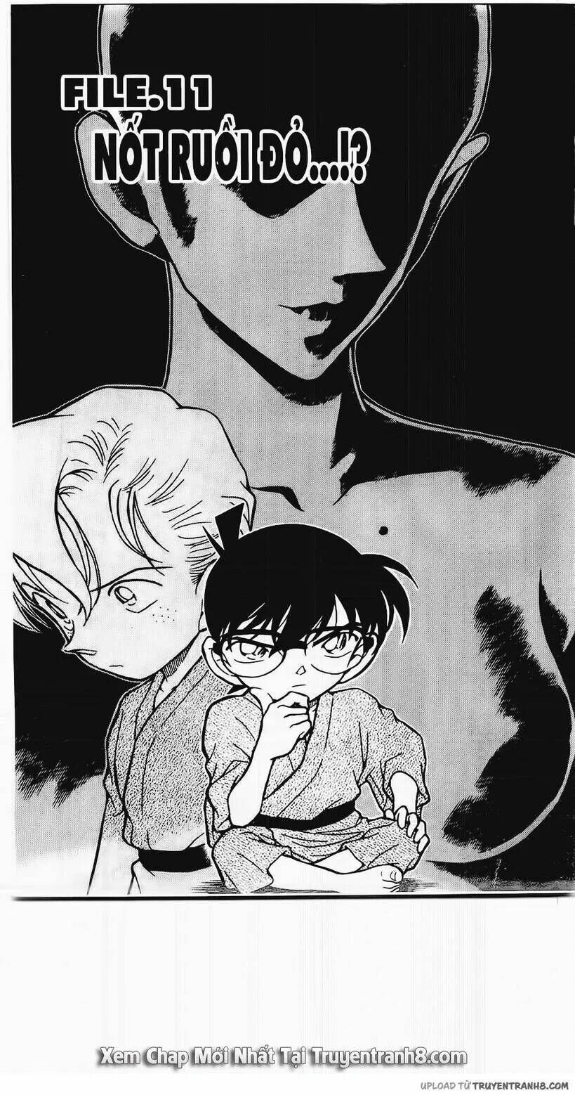 Đọc truyện Thám Tử Conan Chap 403 trước tiên tại Thám Tử Conan